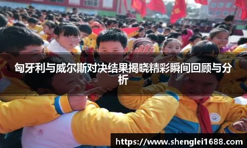 匈牙利与威尔斯对决结果揭晓精彩瞬间回顾与分析